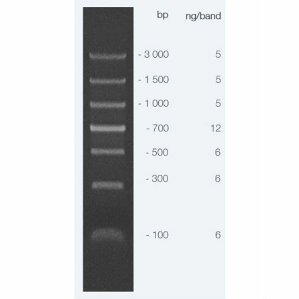 Apex Bioresearch Products 19-132 Apex ECON PCR DNA Ladder, 100 Lanes, 100bp - 3000bp, 0.5ml/Unit secondary image