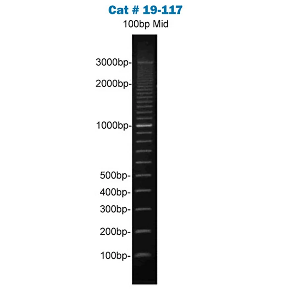 Apex Bioresearch Products 19-117 Apex 100bp-Mid DNA Ladder, 200 Gel Lanes, 100bp - 3kb, 1ml/Unit tertiary image