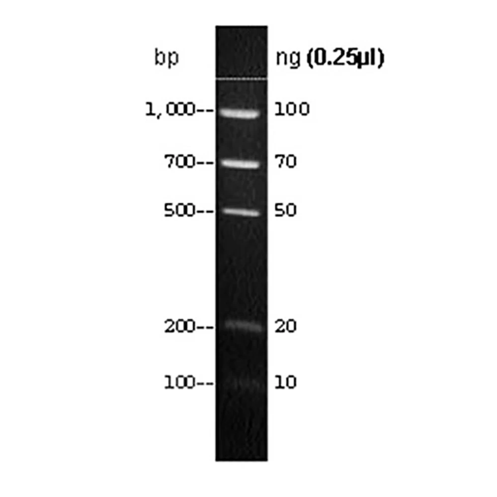 Apex Bioresearch Products 19-119 Apex DNA QuantLadder, 100 Gel Lanes, 100bp - 1kb, 250ul/Unit tertiary image