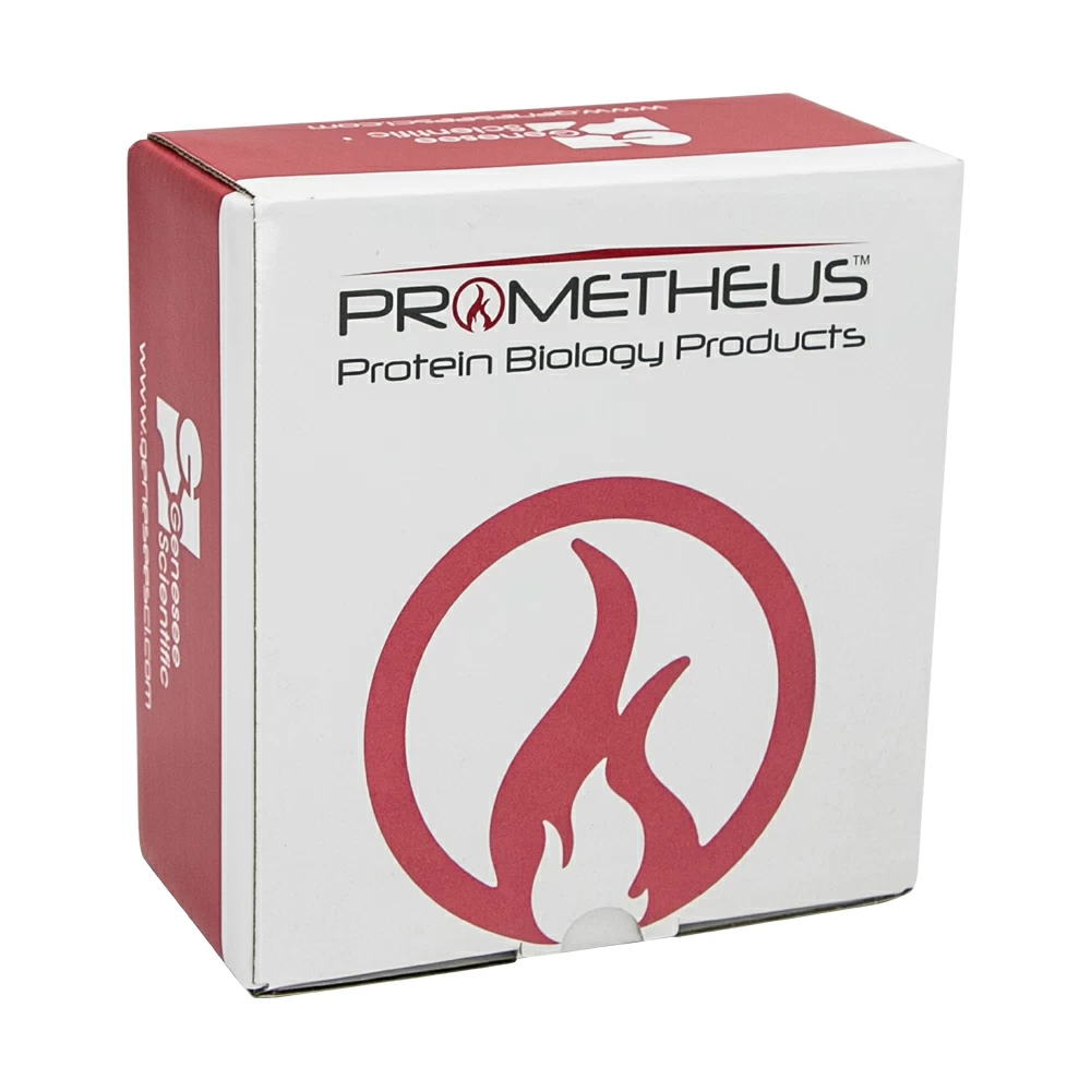 Prometheus Protein Biology Products RPN2236 ProSignal