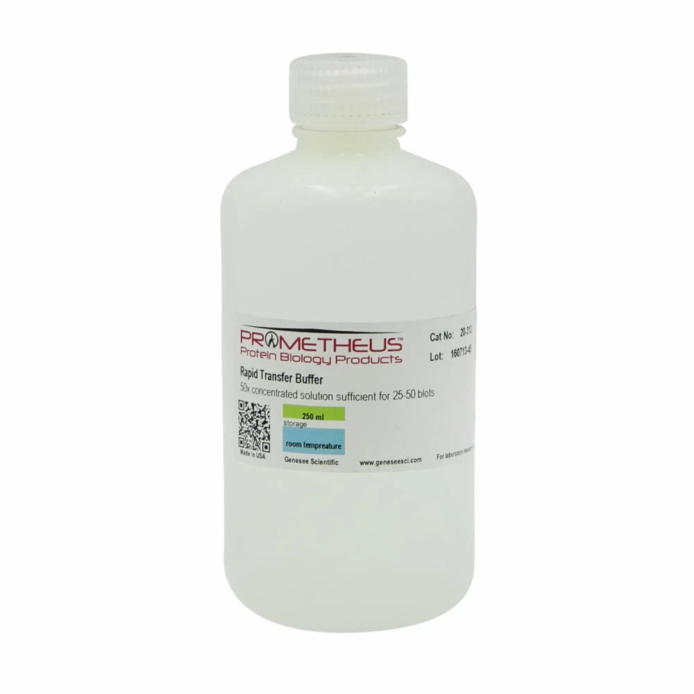 Prometheus Protein Biology Products 20-312 Rapid Transfer Buffer, 50x, For 25-50 blots, 250ml/Unit primary image