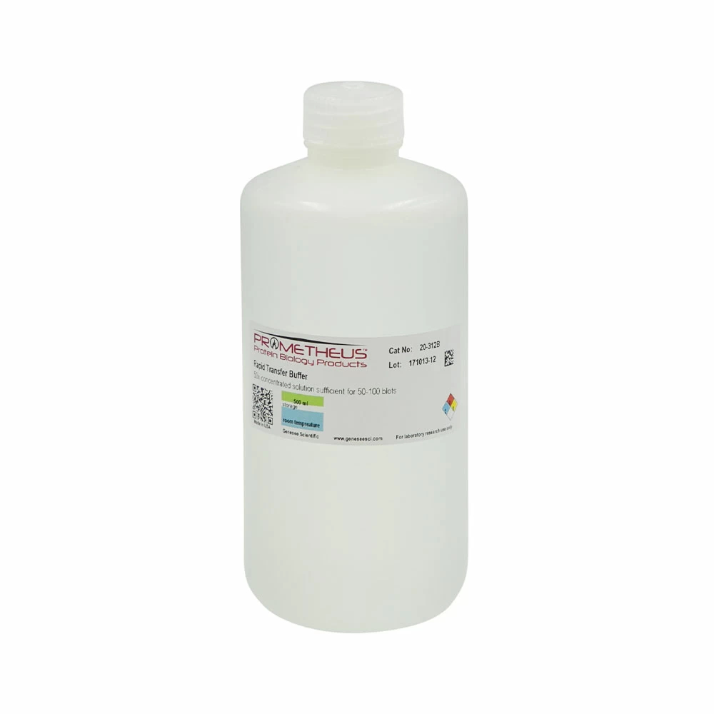 Prometheus Protein Biology Products 20-312B Rapid Transfer Buffer, 50x, For 50-100 blots, 500ml/Unit primary image