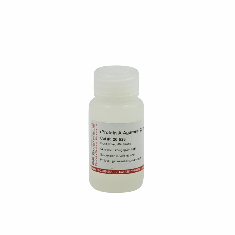 Prometheus Protein Biology Products 20-526 rProtein A Agarose, Cross-linked Beads, 4%, 25ml/Unit primary image