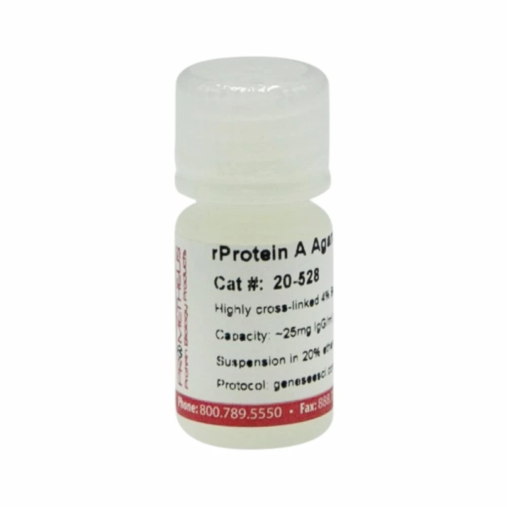 Prometheus Protein Biology Products 20-528 rProtein A Agarose Max Flow, Highly Cross-linked Beads, 4%, 5ml/Unit primary image
