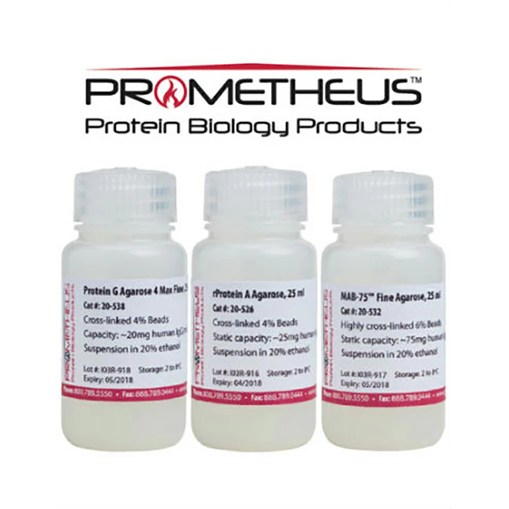 Prometheus Protein Biology Products 20-545 Biotin Agarose, Cross-linked Beads, 4%, 10ml/Unit primary image