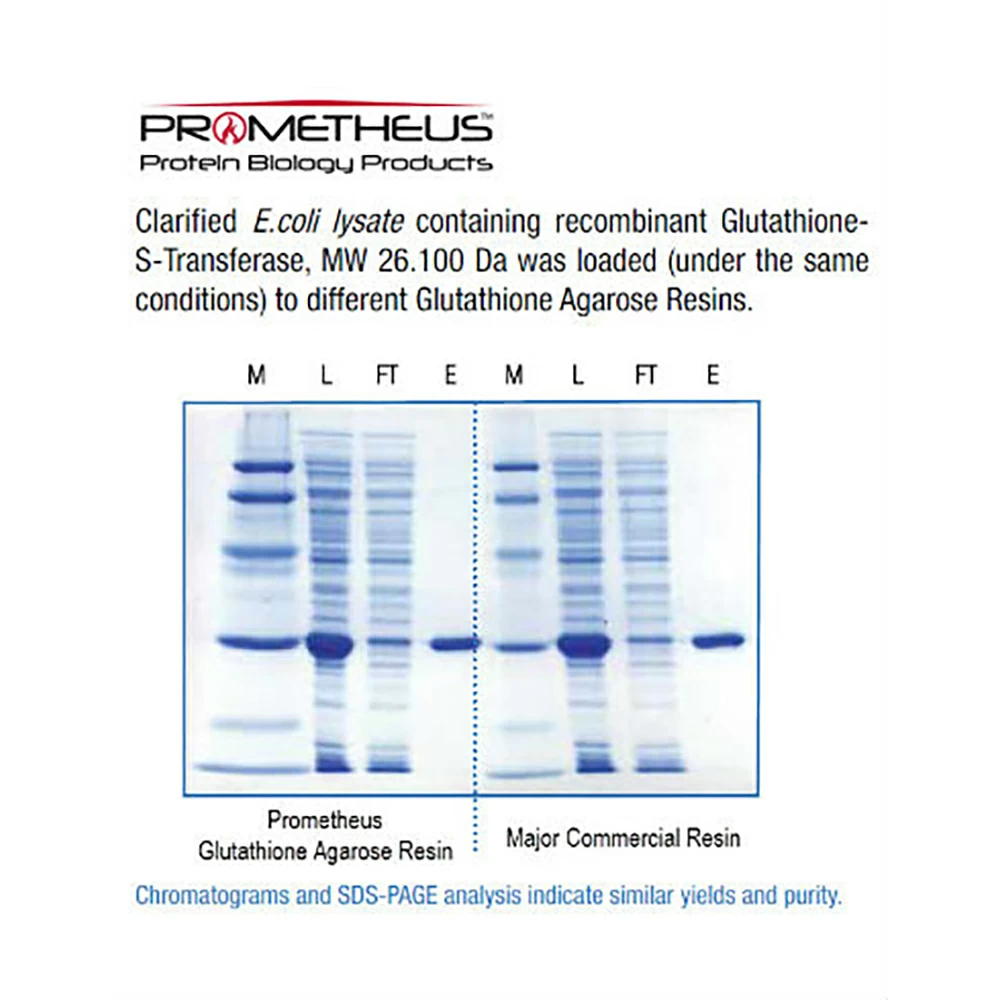 Prometheus Protein Biology Products 20-543 Glutathione Agarose 4, 4% Agarose Beads, 100ml/Unit secondary image