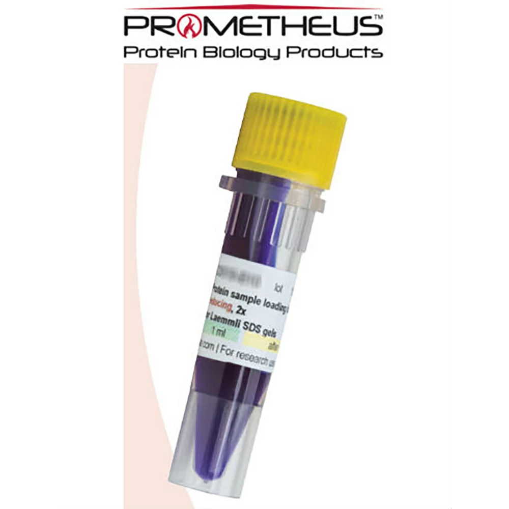 Prometheus Protein Biology Products 20-309 Protein Loading buffer (2X), Non-reducing, Ready-to-Use, 5 x 1ml/Unit primary image