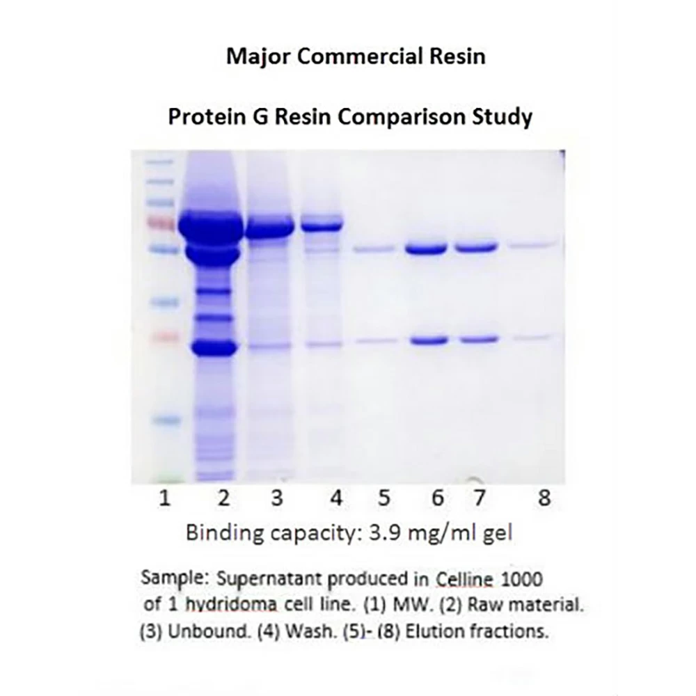 Prometheus Protein Biology Products 20-537 Protein G Agarose 4 Max Flow, Highly Cross-linked Beads, 4%, 5ml/Unit tertiary image
