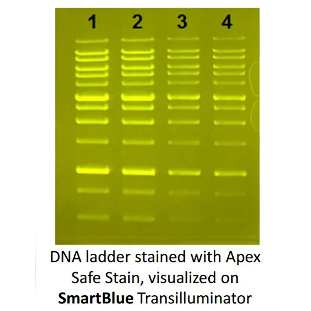Apex Bioresearch Products 20-278D Apex Safe DNA Loading Dye, With Stain, 6x Concentration, 1.0ml/Unit tertiary image