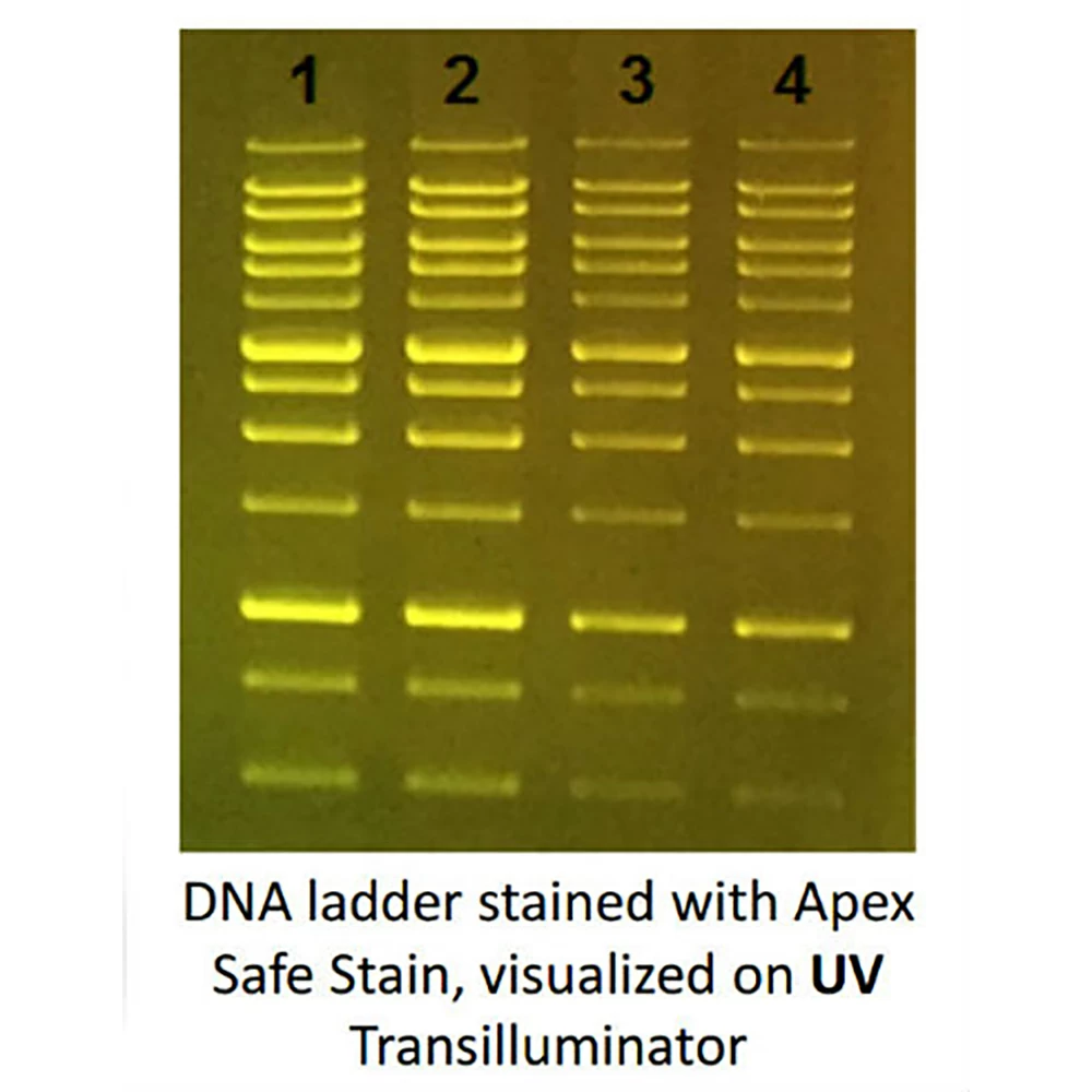 Apex Bioresearch Products 20-278 Apex Safe DNA Gel Stain, 20,000x, In Water, 1.0ml/Unit quaternary image