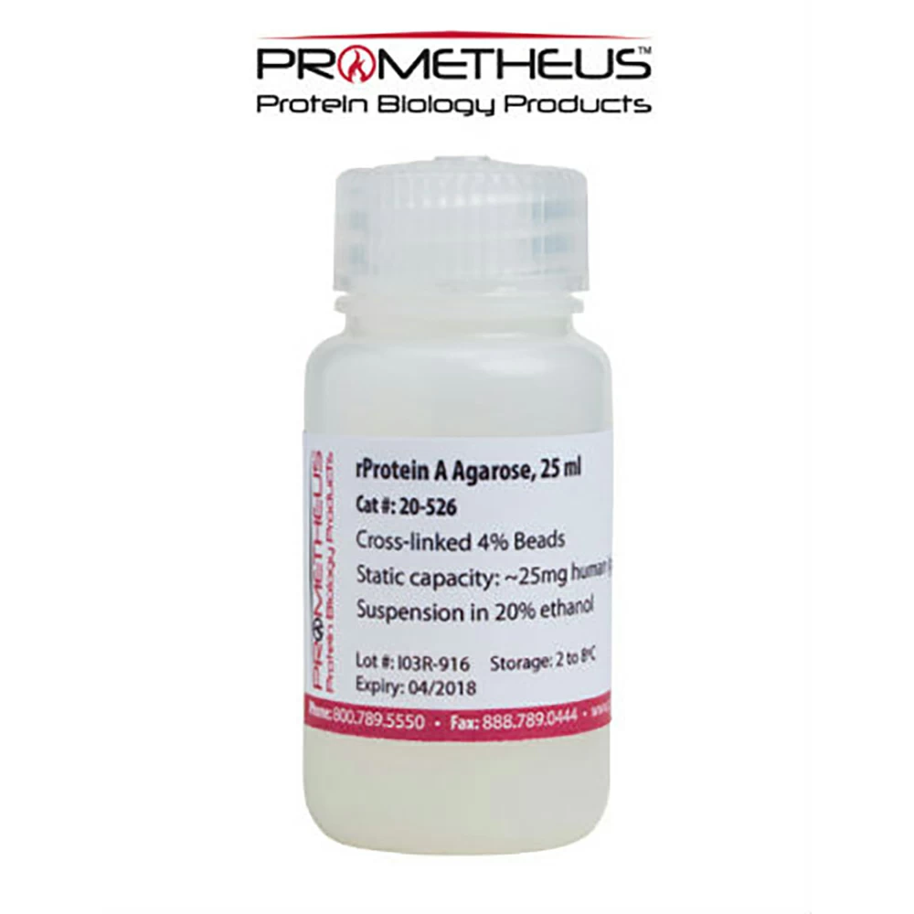 Prometheus Protein Biology Products 20-527 rProtein A Agarose, Cross-linked Beads, 4%, 100ml/Unit primary image