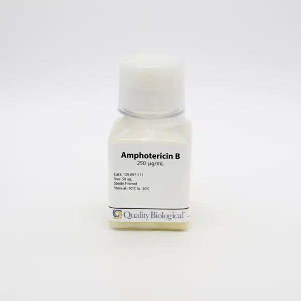 QBI 120-097-711 Amphotericin B,  250