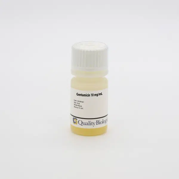 QBI 120-099-661EA Gentamicin 10 mg/mL, Ready-to-use solution, 10 mL/Unit Primary Image