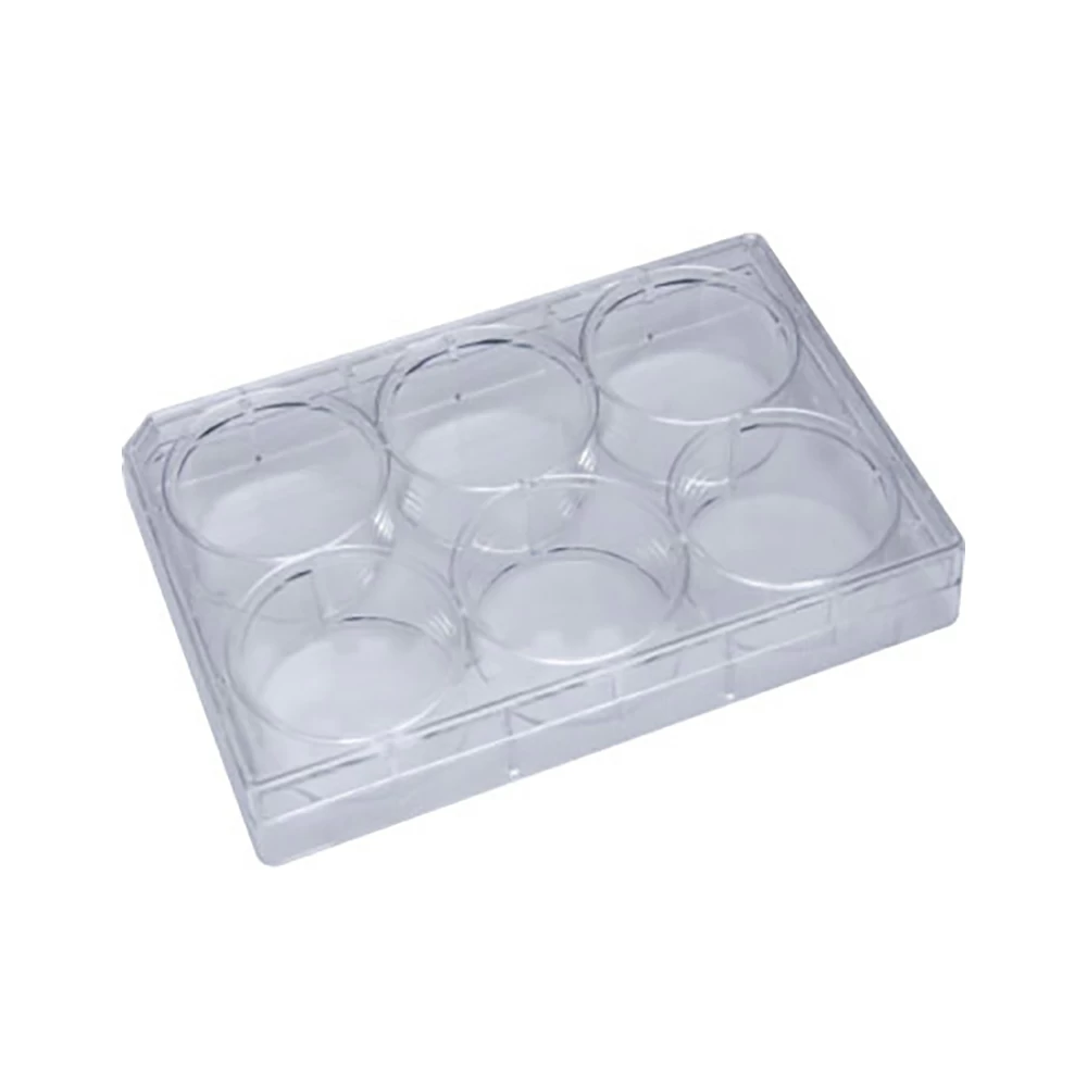3 Pack Ice Cube Tray for Freezer, 99 x 1IN Round Ice Trays Easy