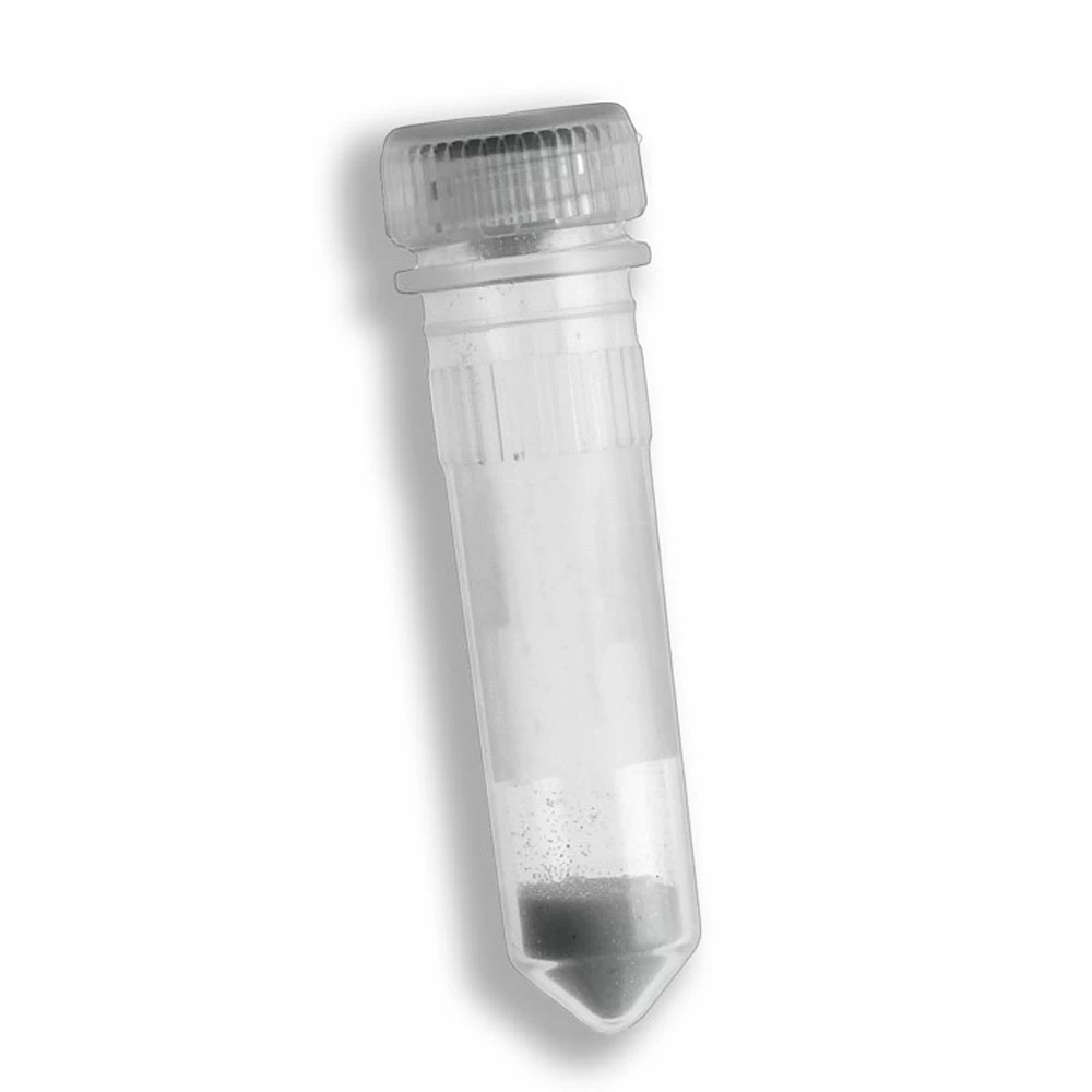 Benchmark Scientific D1031-01 0.1mm Silica Bead Kit, Pre-filled 2ml Tubes, 50 Tubes/Unit primary image