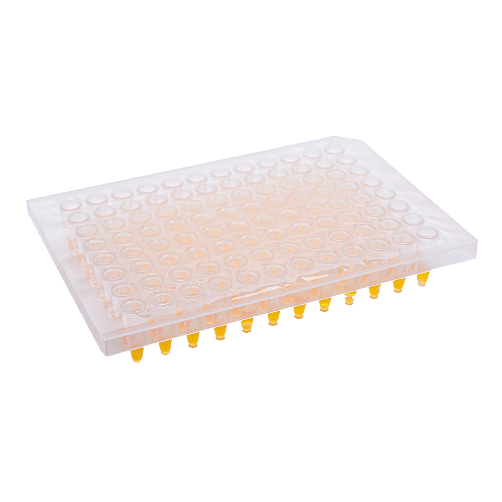 Benchmark Scientific  MS1000-PCR2 Optically clear sealing film for qPCR, STRONG BOND for PP plates, 100/pk, Strong bond, 100 Films/Unit Primary Image