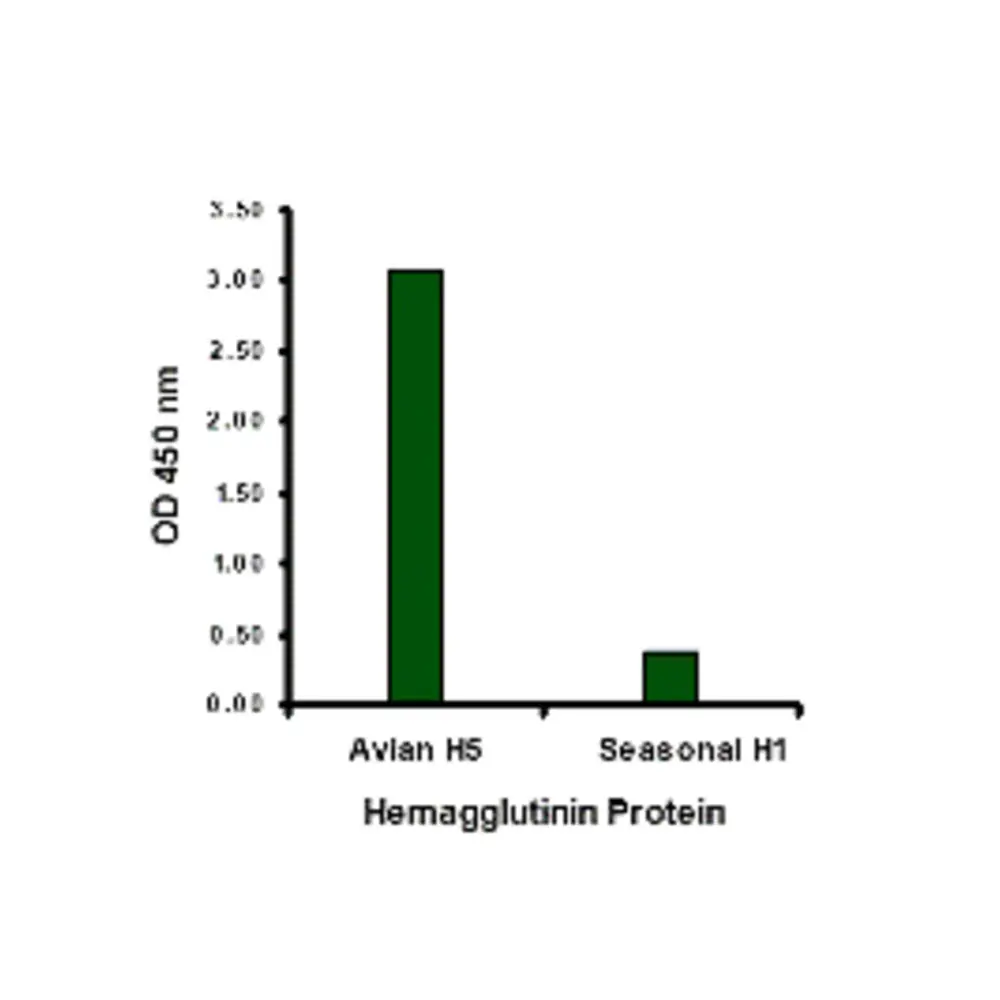 ProSci 3425 Avian Influenza Hemagglutinin Antibody, ProSci, 0.1 mg/Unit Primary Image
