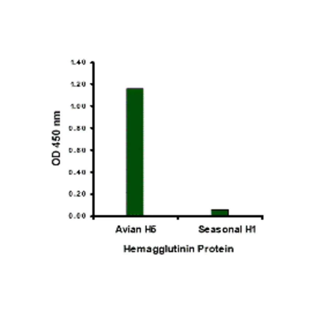 ProSci 3925_S Avian Influenza H5N1 Hemagglutinin (IN3) Antibody, ProSci, 0.02 mg/Unit Primary Image