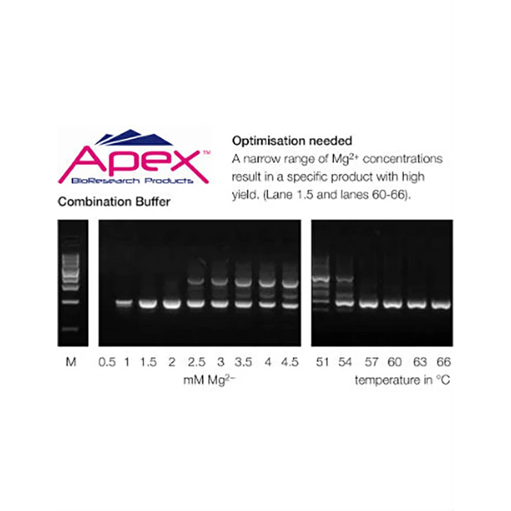 Apex Bioresearch Products 42-301 PCR Buffer II, KCl/NH4, Balanced [KCl/NH4], 3 x 1.5ml/Unit tertiary image