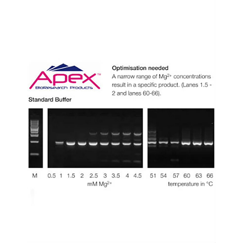 Apex Bioresearch Products 42-305 10X Standard PCR Buffer, KCl based, pH 8.5, 500mM, 3 x 1.5ml/Unit tertiary image