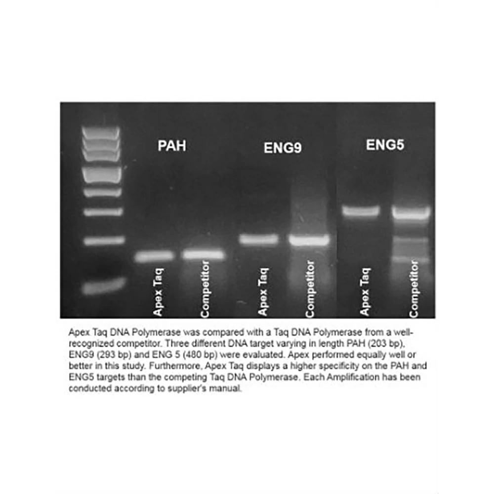 Apex Bioresearch Products 42-802B2 Apex Taq, 5,000Units, 5u/ul, 10X Standard MgFree&NH4 MgFree, 10 x 500u/Unit secondary image