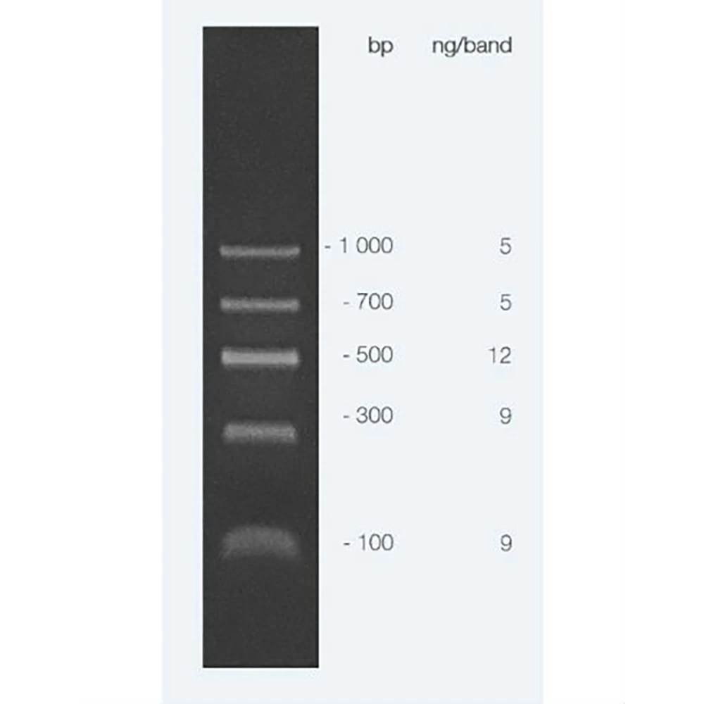 Apex Bioresearch Products 19-131 Apex ECON Low DNA Ladder, 100 Lanes, 100bp - 1000bp, 0.5ml/Unit secondary image
