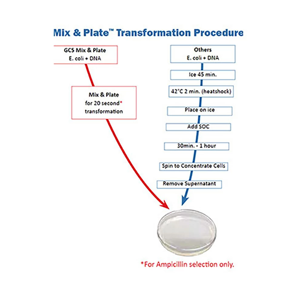Gene Choice 42-655MG GC5 Mix & Plate Competent Cells, 10^8 - 10^9 transformants/
