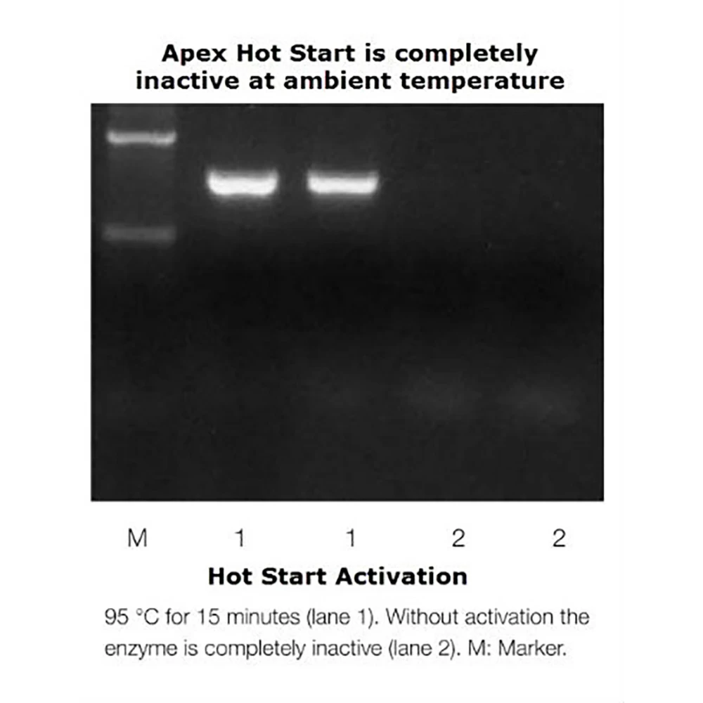 Apex Bioresearch Products 42-211 Apex Hot Start Taq, 10,000u, Buffers I & II (Mg Free), 20 x 500u/Unit tertiary image