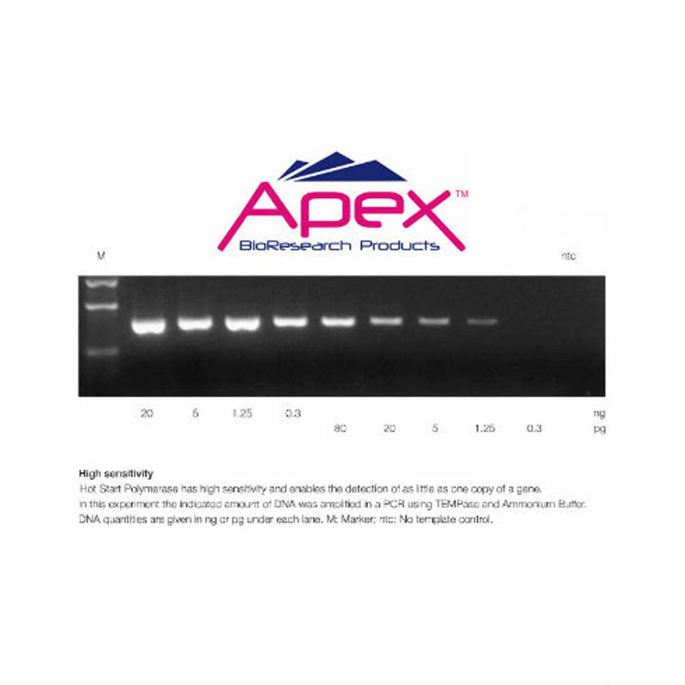 Apex Bioresearch Products 42-210 Apex Hot Start Taq, 5000u, Buffers I & II (Mg Free), 10 x 500u/Unit quaternary image