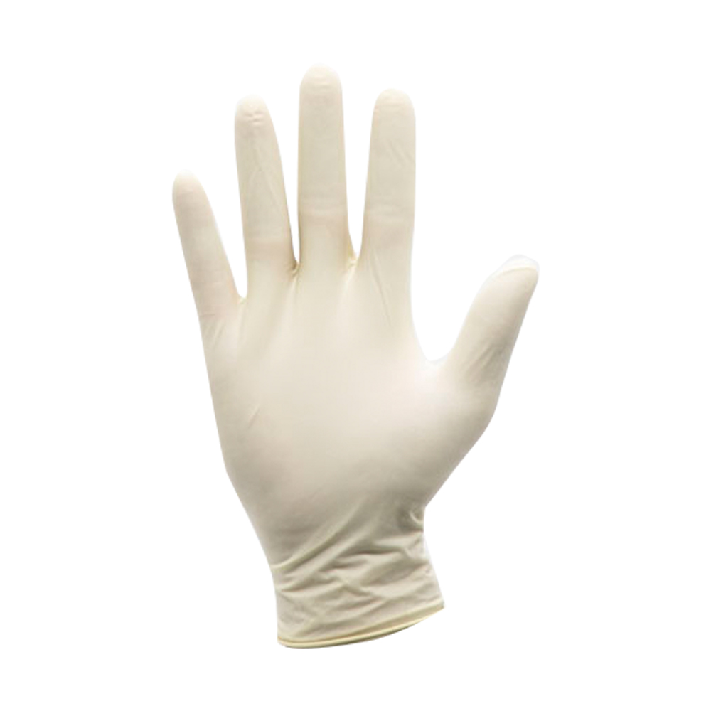 E Gen Latex Examination Gloves L 43 101l Genesee Scientific