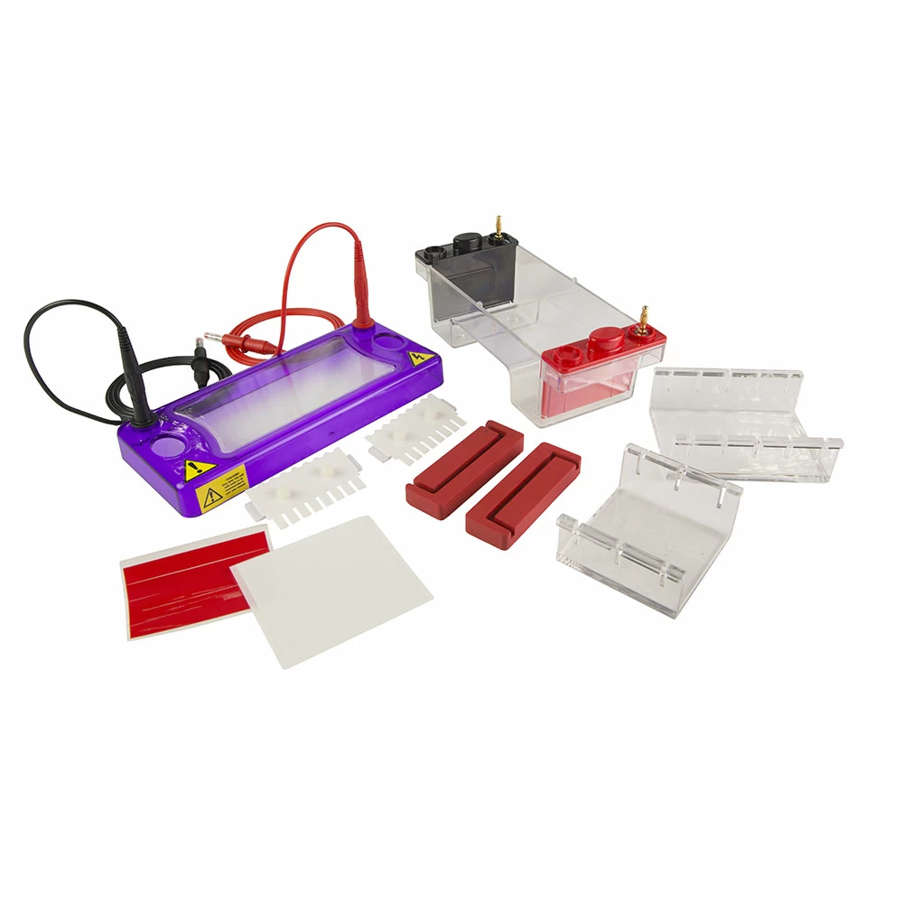 Genesee Scientific 45-100 Mini Horizontal Gel Box, 7 x 7cm & 7 x 10cm Trays, 1 Gel Box/Unit primary image