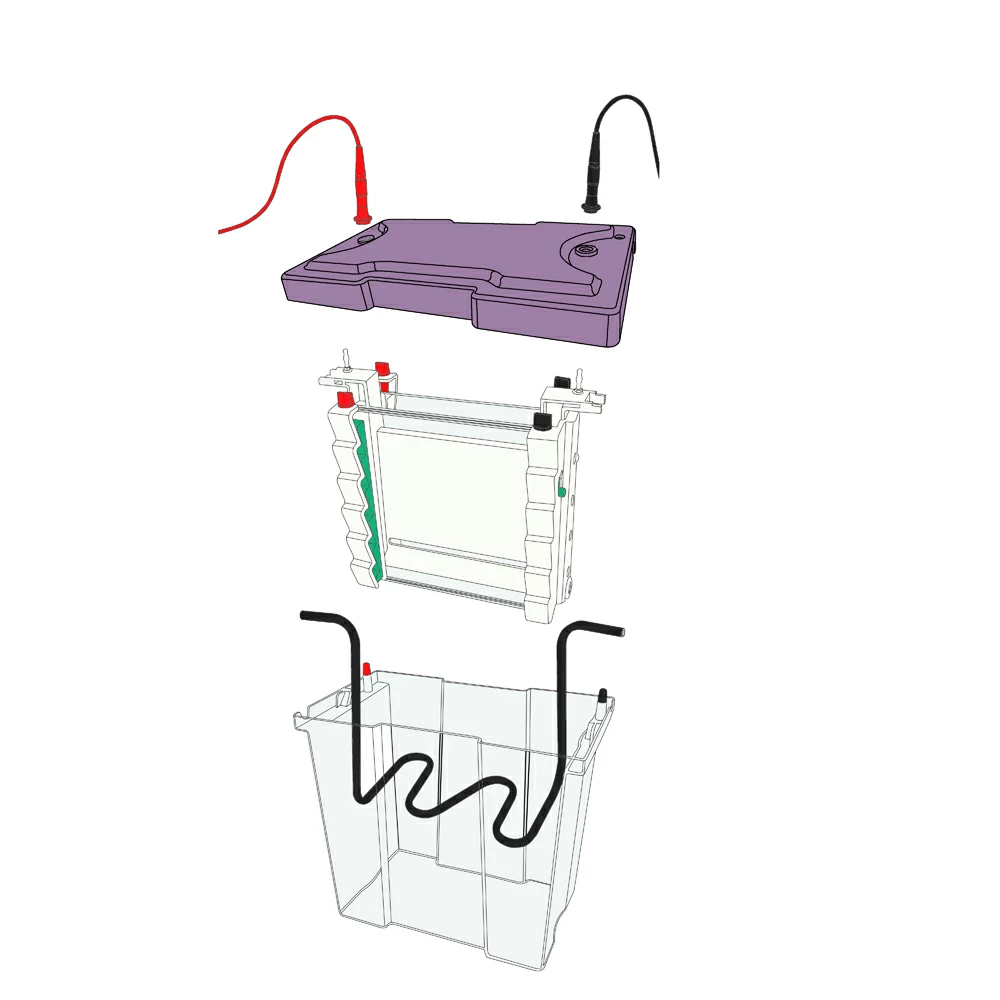 Genesee Scientific 45-109 Maxi Vertical Gel Box, 20 x 20cm, 1 Gel Box/Unit tertiary image