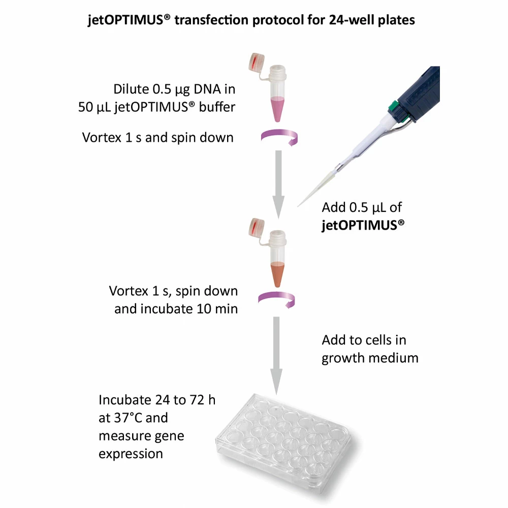 Polyplus-transfection 101000006 jetOPTIMUS