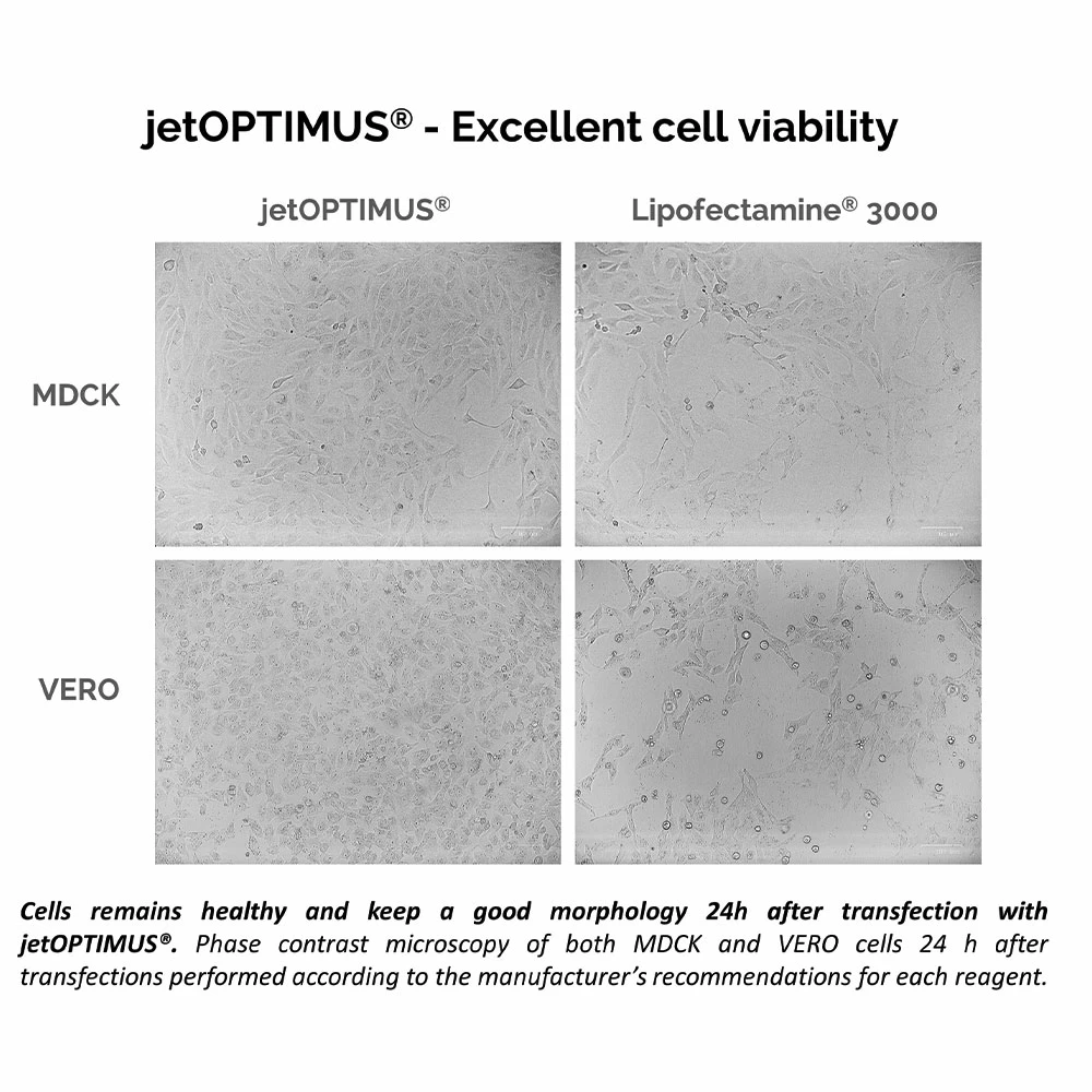 Polyplus-transfection 101000051 jetOPTIMUS