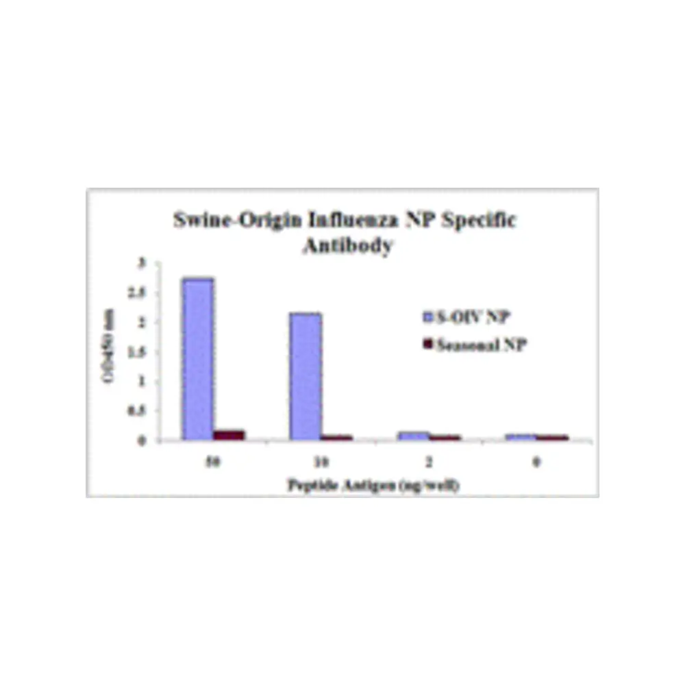 ProSci 5715 Swine H1N1 Nucleocapsid Protein Antibody, ProSci, 0.1 mg/Unit Primary Image