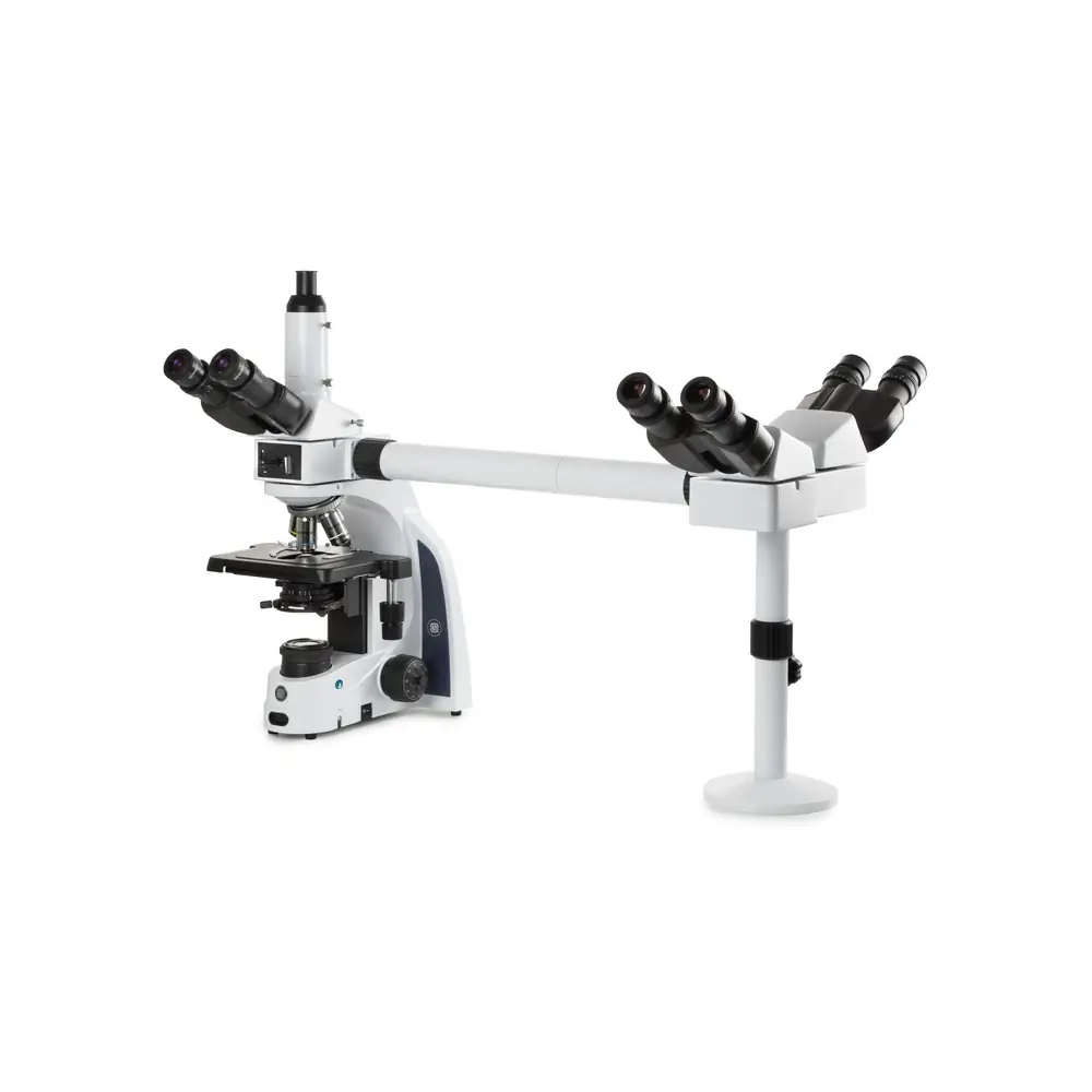 EUROMEX IS.1156-PLi3 Iscope Multihead Microscope, Multihead 3 Observers Plan Ios, 1 Microscope/Unit Primary Image