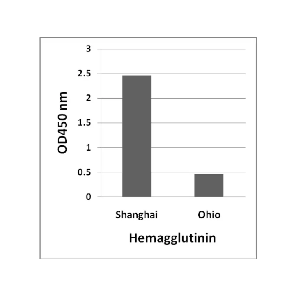 ProSci 7821_S Avian Influenza A H7N9 Hemagglutinin Antibody, ProSci, 0.02 mg/Unit Primary Image
