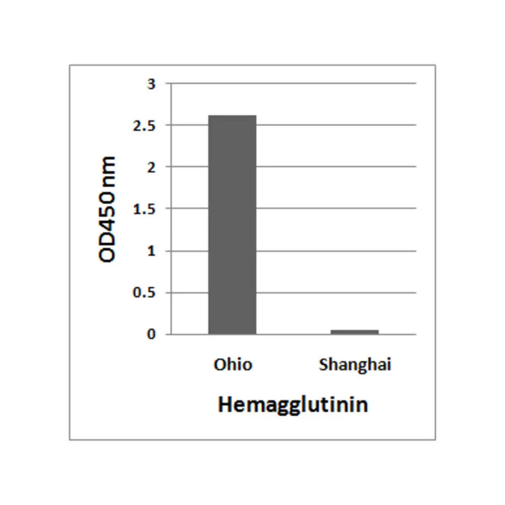 ProSci 7823_S Avian Influenza A H7N9 Hemagglutinin Antibody, ProSci, 0.02 mg/Unit Primary Image