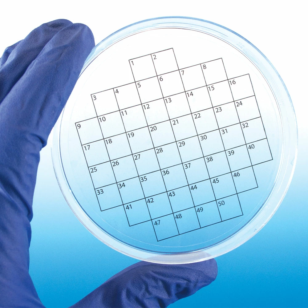 Diversified Biotech PSTK-1050,  50-square grid, 36/Unit tertiary image