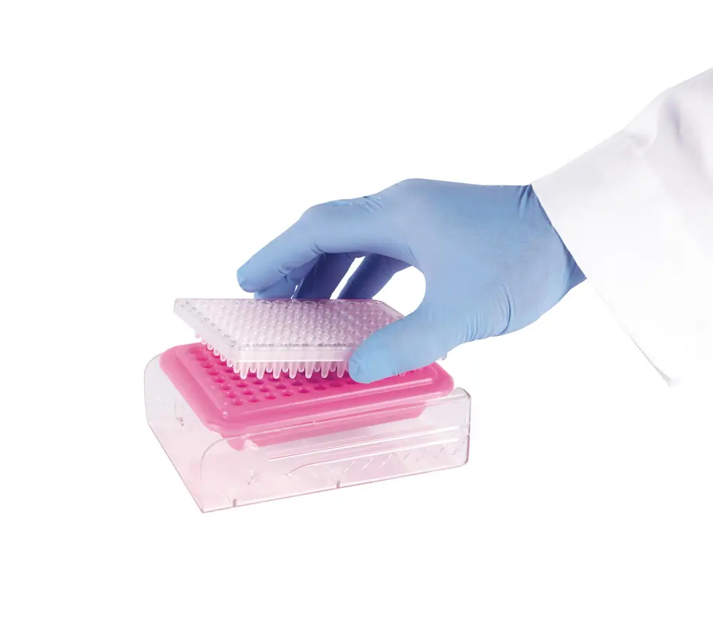Genesee Scientific 93-222 PCR Cooler 96-Well, Purple & Pink, 2 Coolers/Unit Quaternary Image