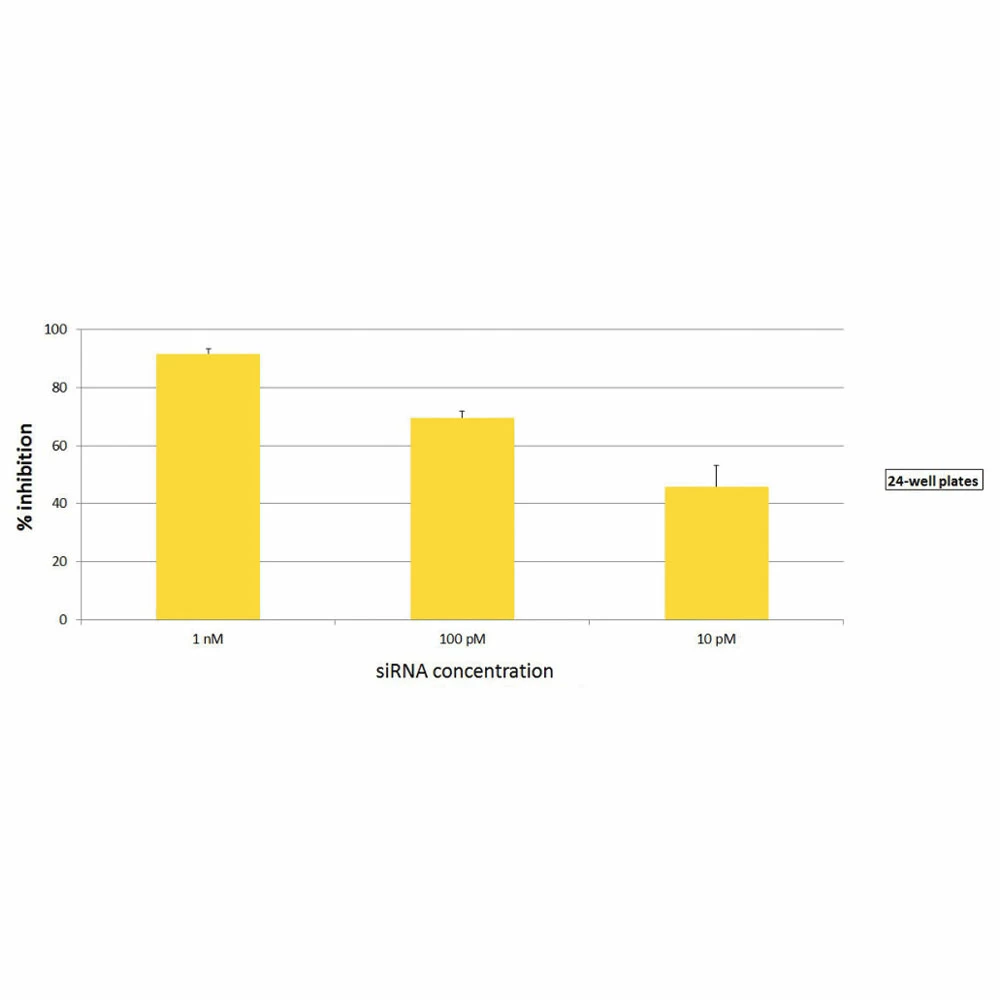 Polyplus-transfection 101000016 INTERFERin