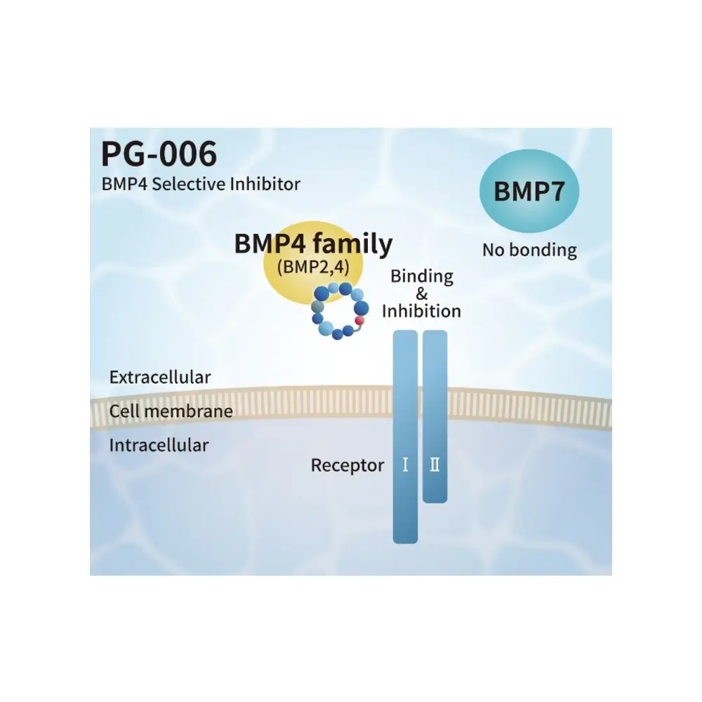 PeptiGrowth PG-006 BMP4 Selective Inhibitor, BMP4 Binding Peptide, 5 