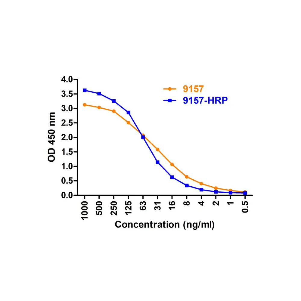 ProSci 9157-HRP_S SARS-CoV-2 (COVID-19) Membrane Antibody (HRP), ProSci, 0.02 mg/Unit Secondary Image