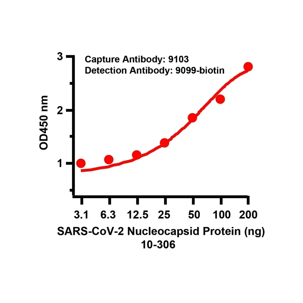 ProSci 9103 SARS-CoV-2 (COVID-19) Nucleocapsid Antibody, ProSci, 0.1 mg/Unit Quaternary Image