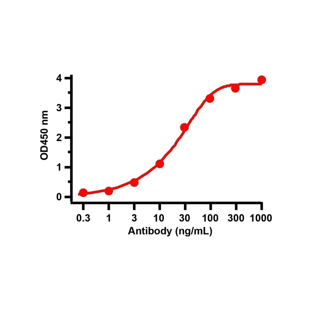 ProSci 9103 SARS-CoV-2 (COVID-19) Nucleocapsid Antibody, ProSci, 0.1 mg/Unit Tertiary Image