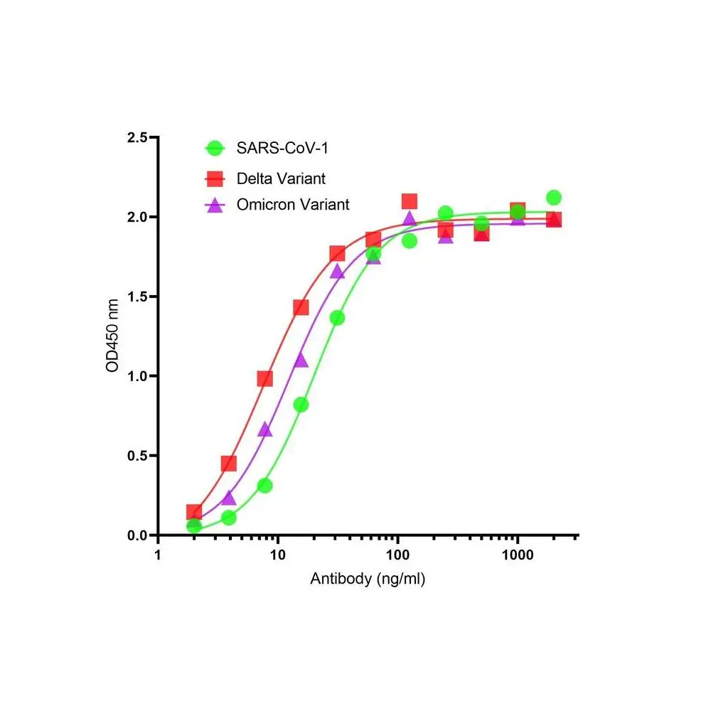 ProSci SD9789_S SARS-CoV-2 (COVID-19) Spike S2 Single Domain Antibody [P1G5], ProSci, 0.02 mg/Unit Primary Image