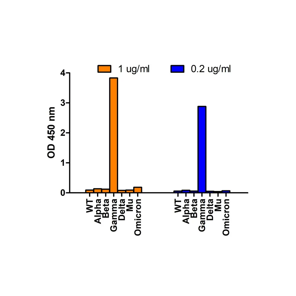 ProSci 9573 SARS-CoV-2 Spike P26S Antibody (Gamma Variant), ProSci, 0.1 mg/Unit Primary Image