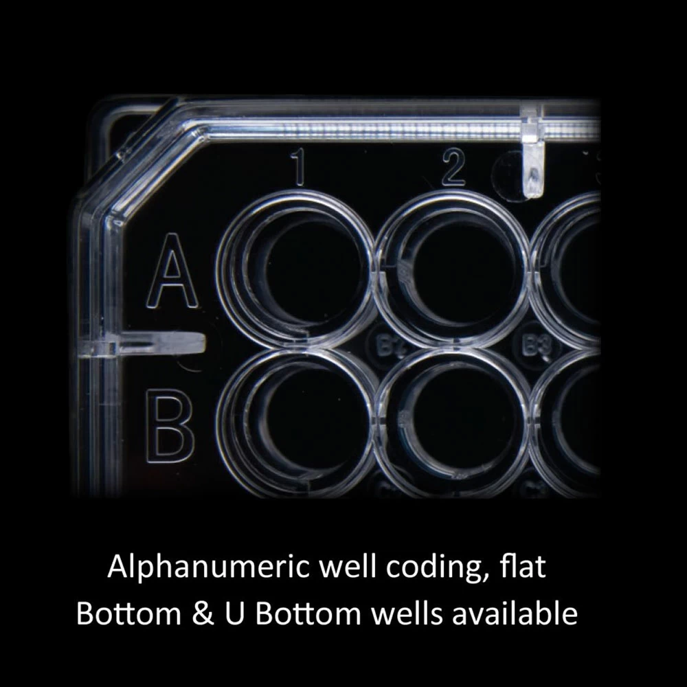 GenClone 25-221,  U-Bottom Wells, TC Treated, 1 Plate/Pack, 100/Unit tertiary image