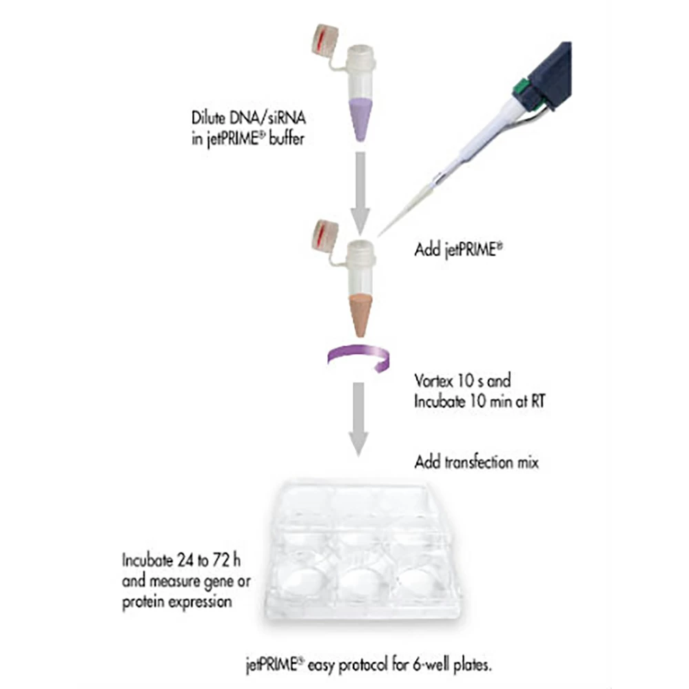 Polyplus-transfection 101000015 jetPRIME