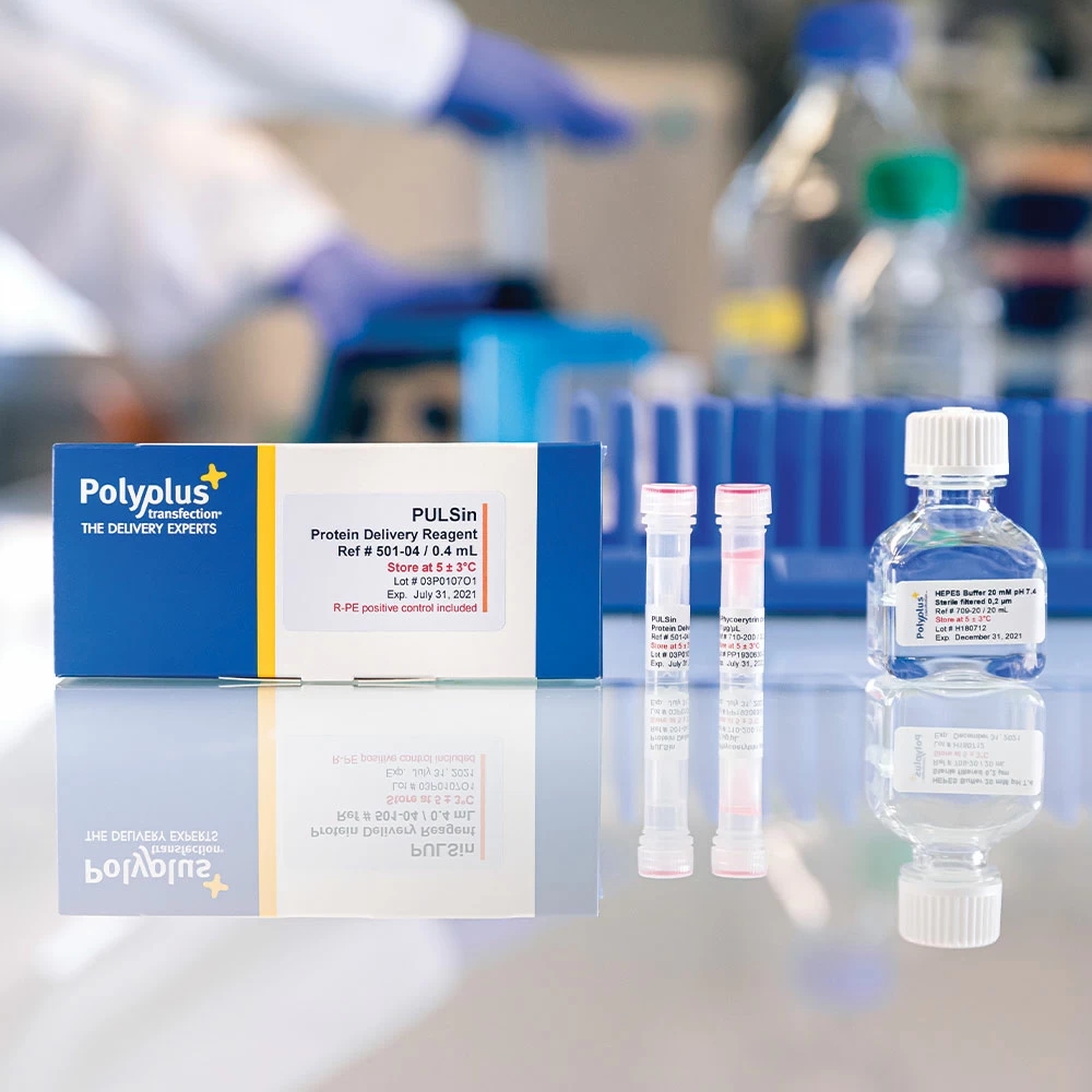 Polyplus-transfection 101000010 PULSin